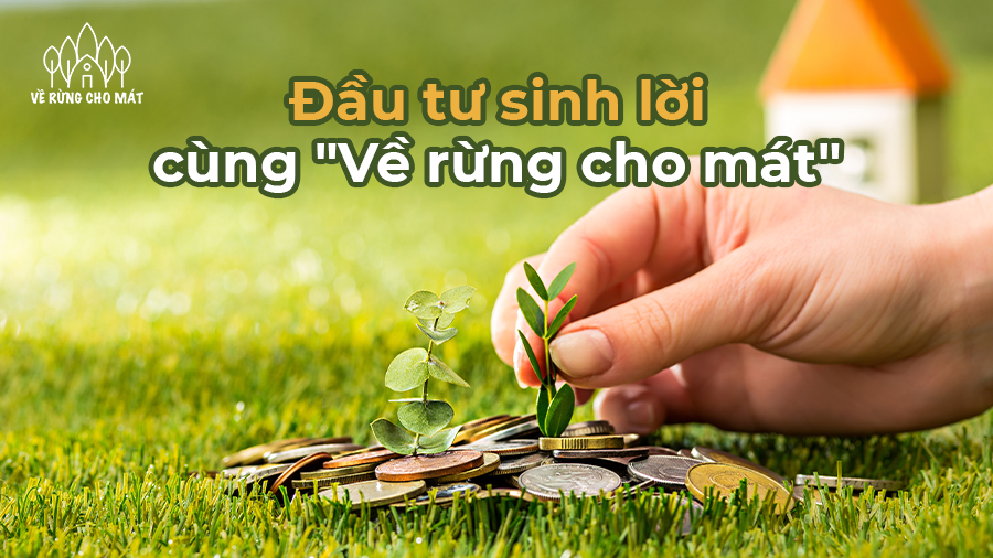 BẤT ĐỘNG SẢN DU LỊCH TẠI ĐẮK LẮK