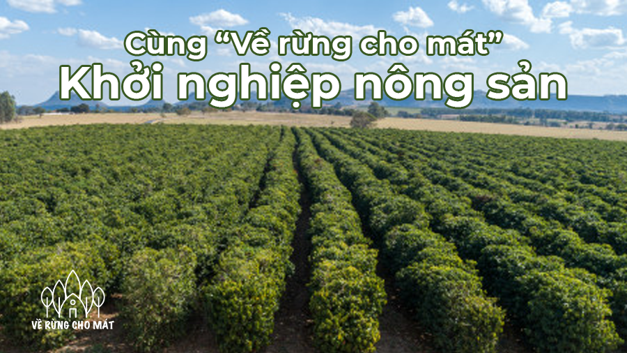 CHỈ 293 TRIỆU CHO KHU ĐẤT SIÊU ĐẸP TẠI ĐẮK LẮK