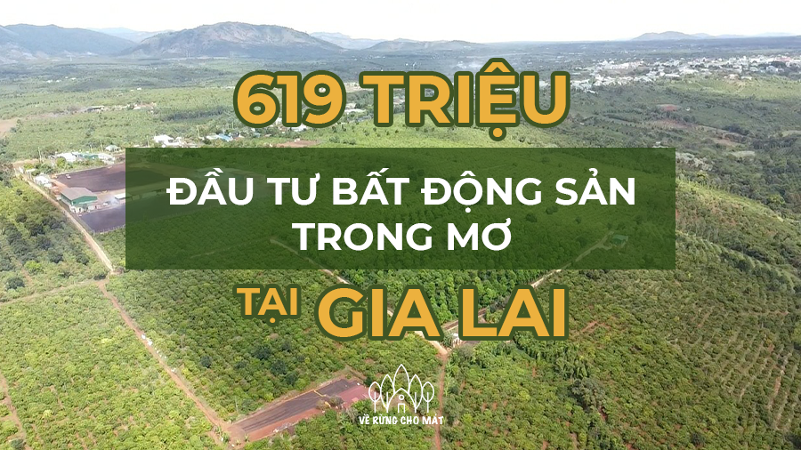 619 TRIỆU - ĐẦU TƯ BẤT ĐỘNG SẢN NGHỈ DƯỠNG TRONG MƠ TẠI GIA LAI