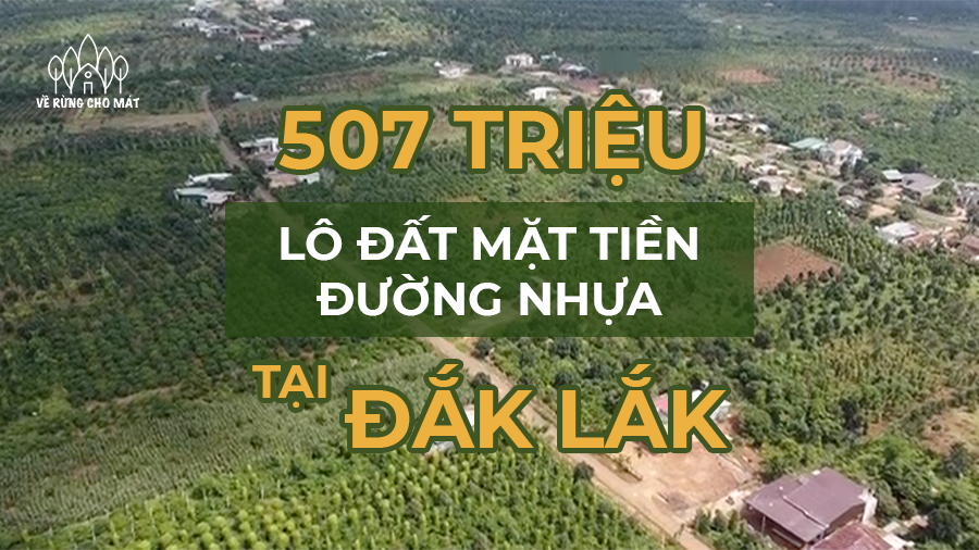 507 TRIỆU - LÔ ĐẤT MẶT TIỀN ĐƯỜNG NHỰA TẠI ĐẮK LẮK