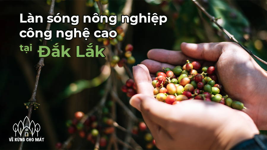 CHỈ 293 TRIỆU CHO KHU ĐẤT SIÊU ĐẸP TẠI ĐẮK LẮK