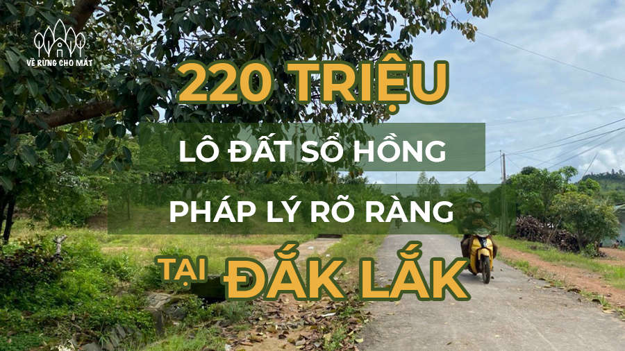 220 TRIỆU - LÔ ĐẤT TIỀM NĂNG SỔ HỒNG, PHÁP LÝ RÕ RÀNG TẠI ĐẮK LẮK