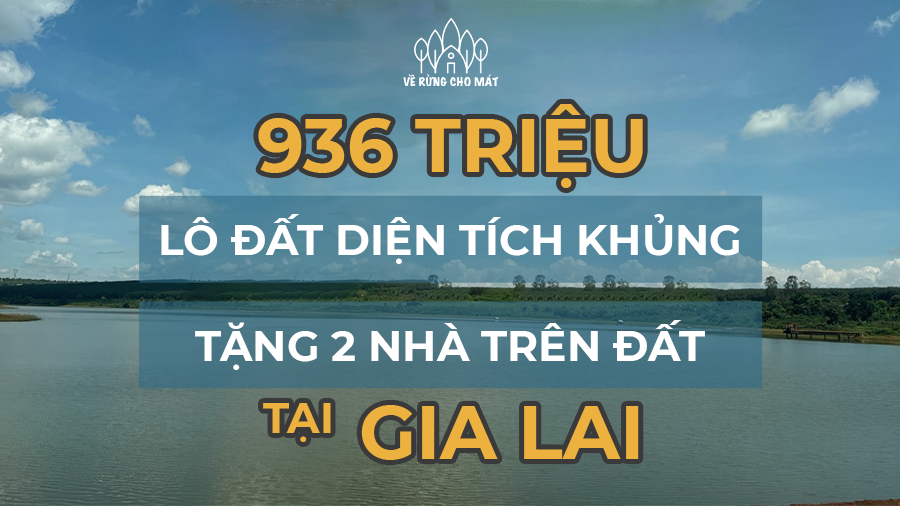 936 TRIỆU - LÔ ĐẤT DIỆN TÍCH KHỦNG TẶNG KÈM 2 CĂN NHÀ TRÊN ĐẤT TẠI GIA LAI