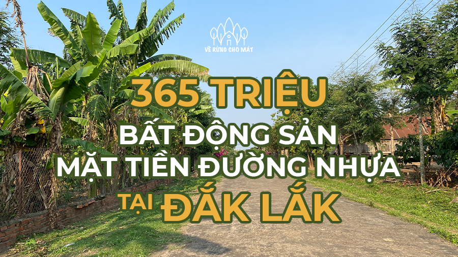 365 TRIỆU - BẤT ĐỘNG SẢN MẶT TIỀN ĐƯỜNG NHỰA TẠI ĐẮK LẮK