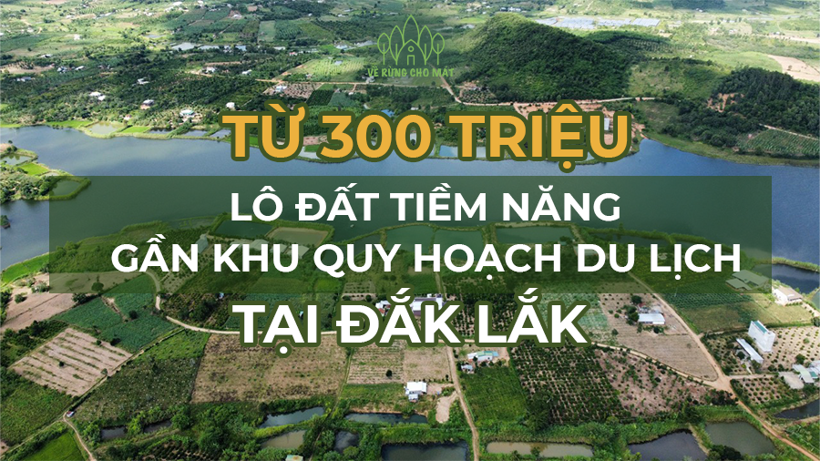 BẤT ĐỘNG SẢN DU LỊCH TẠI ĐẮK LẮK