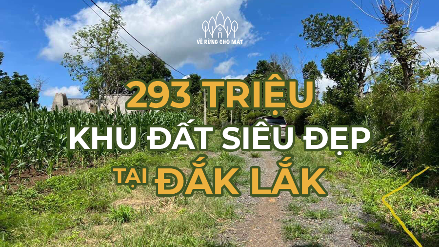 CHỈ 293 TRIỆU CHO KHU ĐẤT SIÊU ĐẸP TẠI ĐẮK LẮK