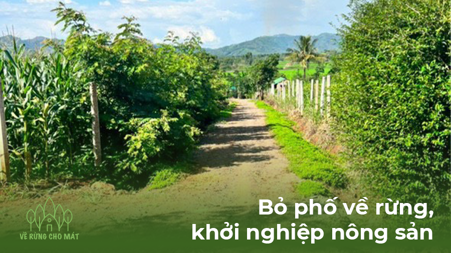 CHỈ 325 TRIỆU - KHỞI NGHIỆP NÔNG SẢN VỚI LÔ ĐẤT BAZAN TẠI ĐẮK LẮK