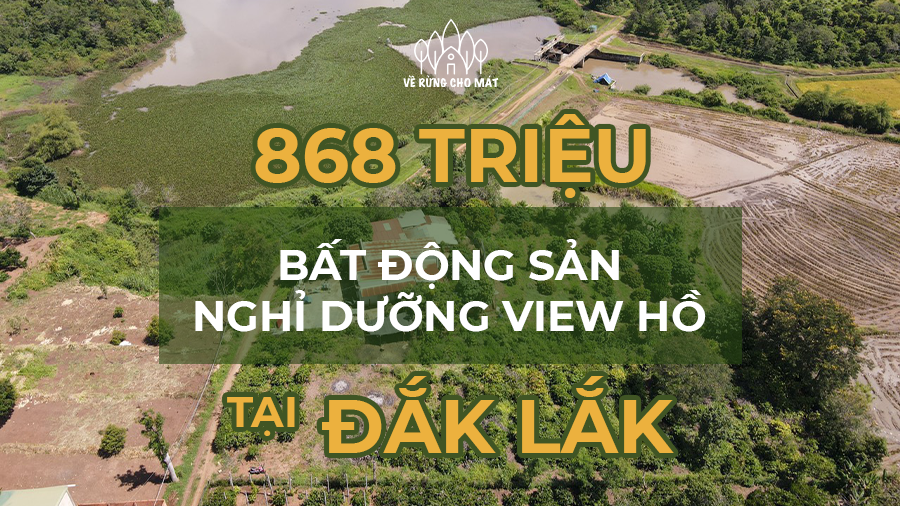 868 TRIỆU - BẤT ĐỘNG SẢN NGHỈ DƯỠNG VIEW HỒ ĐẸP NHƯ MƠ TẠI ĐẮK LẮK