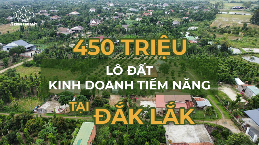 CHỈ TỪ 450 TRIỆU - ĐẦU TƯ LÔ ĐẤT TIỀM NĂNG, KINH DOANH SINH LỜI TẠI ĐẮK LẮK