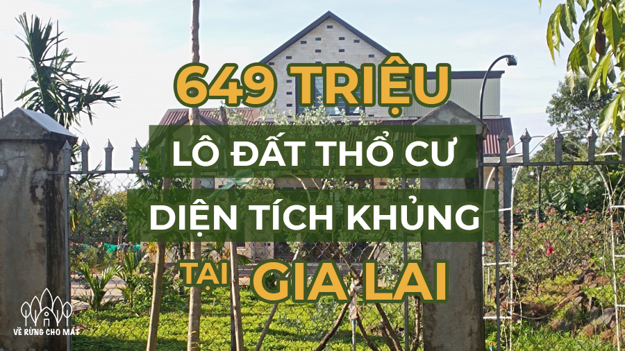 CHỈ 649 TRIỆU CHO 1.000m2 ĐẤT TẠI GIA LAI