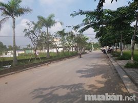 Bán đất giá rẻ làm Trang Trại, làm nhà Vườn , kho Xưởng , kho bãi, ở Quận 9